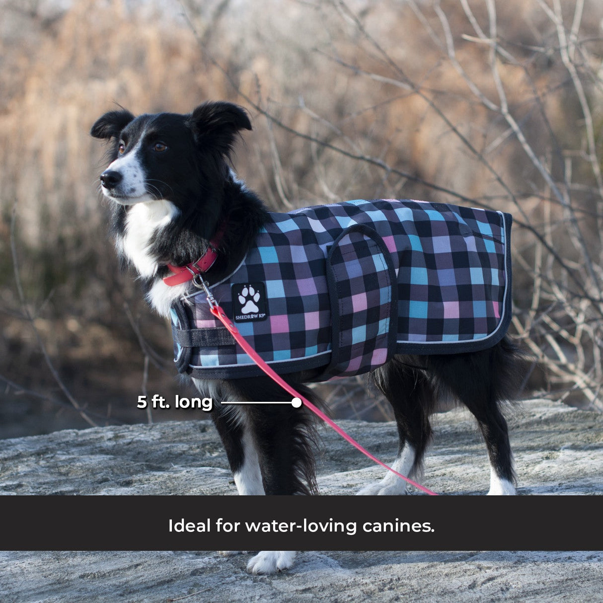 Shedrow K9 Tofino II Waterproof Leash 5 ft.