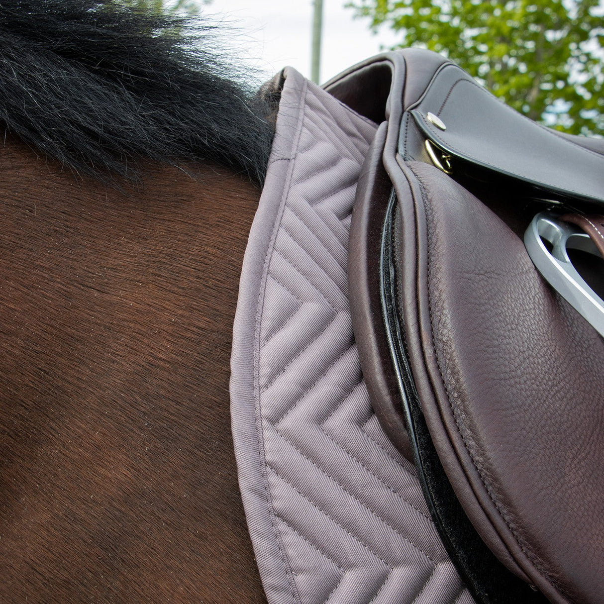 Supra Every Day Essential Saddle Pad