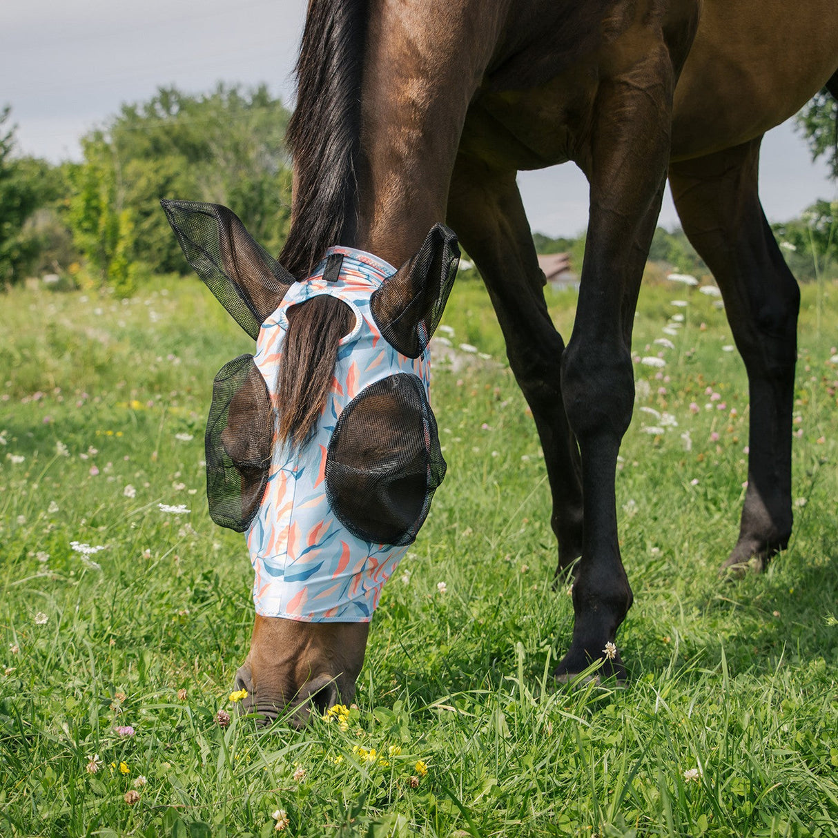 Summit Fly Mask W/ Forelock Hole