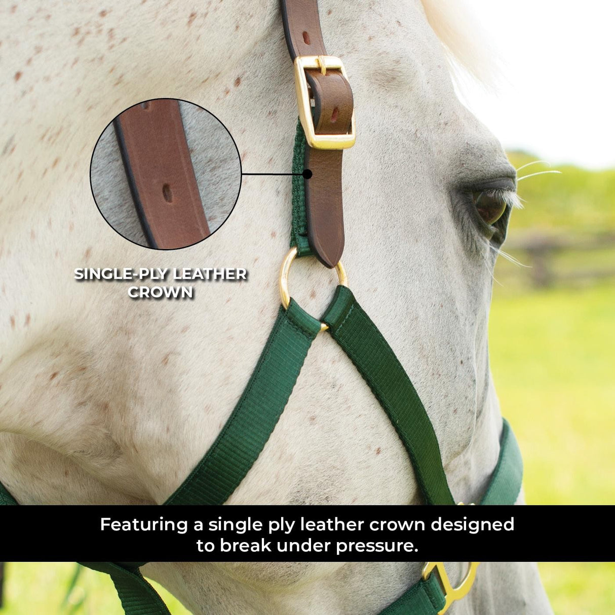 Supra Nylon Halter W/ Leather Crown