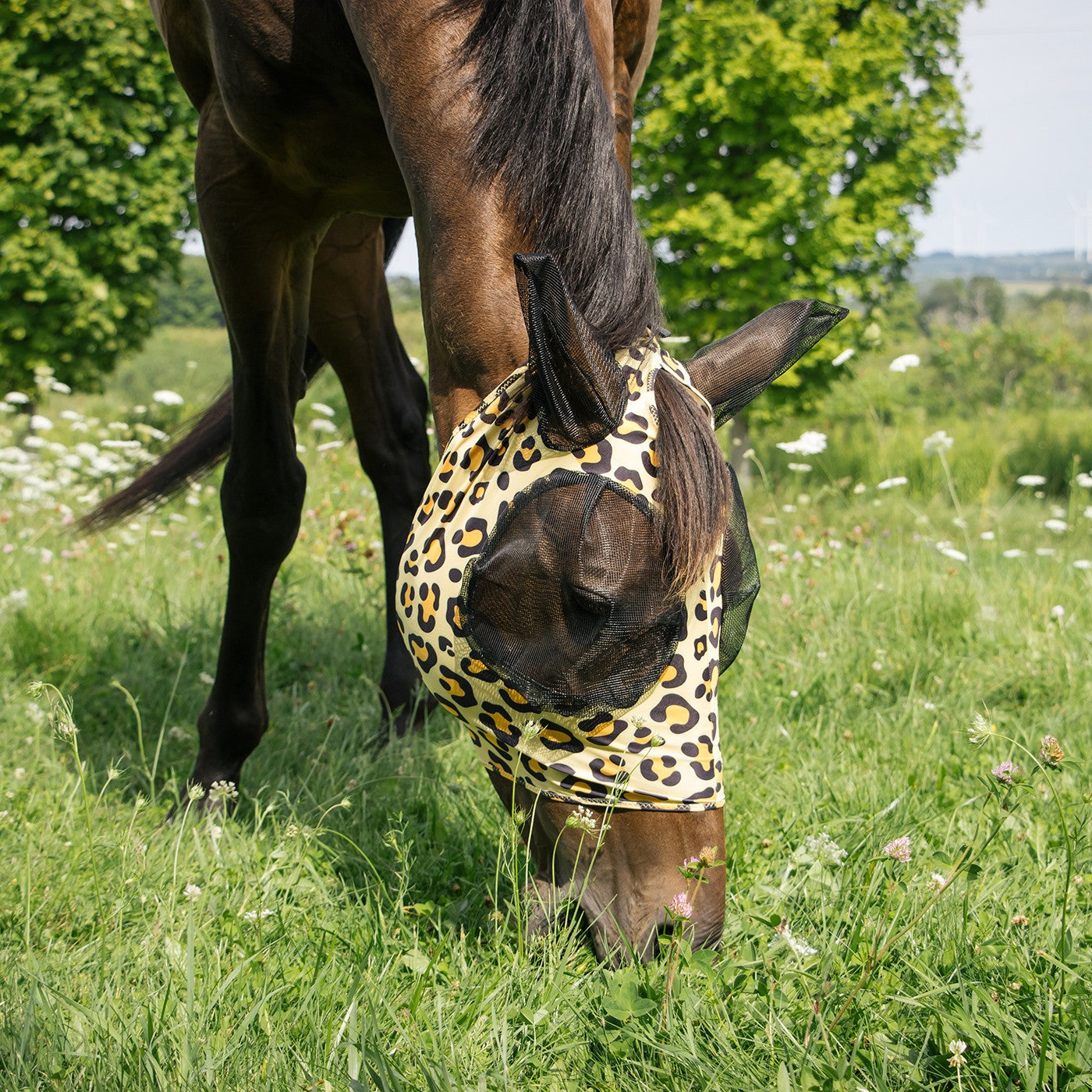 Summit Fly Mask W/ Forelock Hole