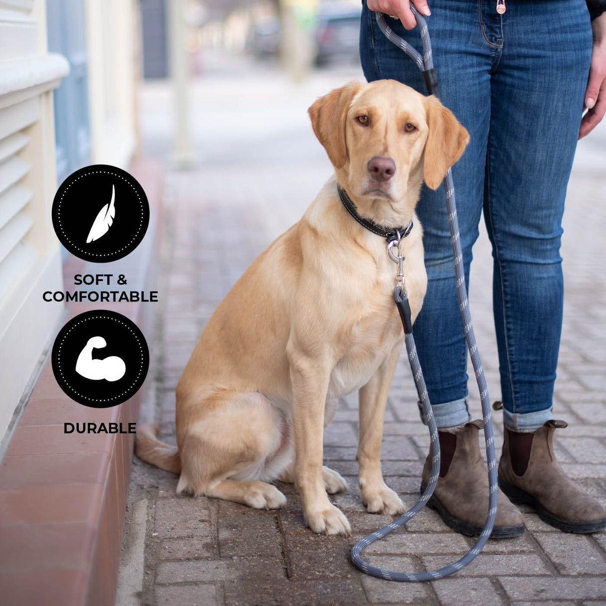 Shedrow K9 Camino Rope Leash