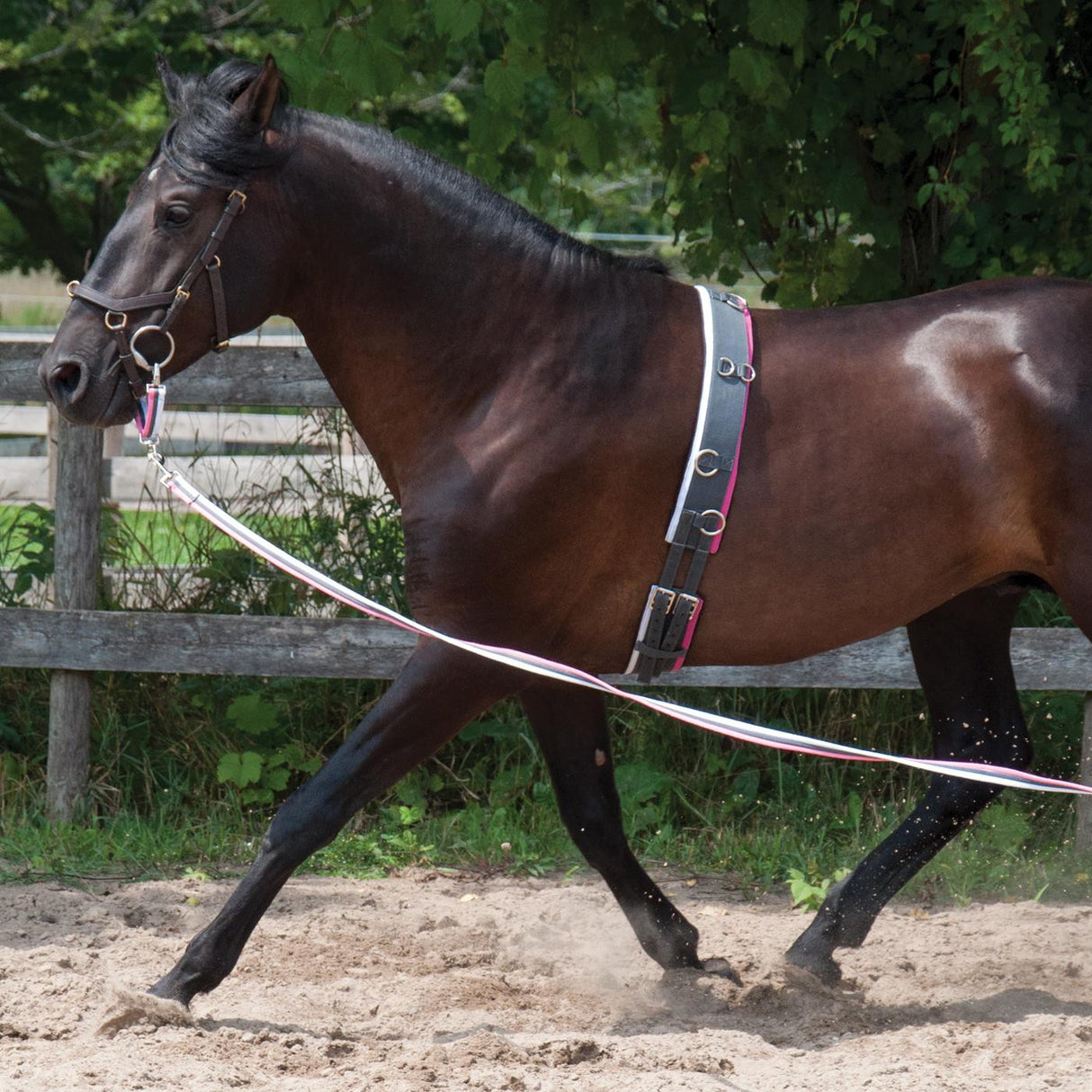 Supra Smart Lunge Set