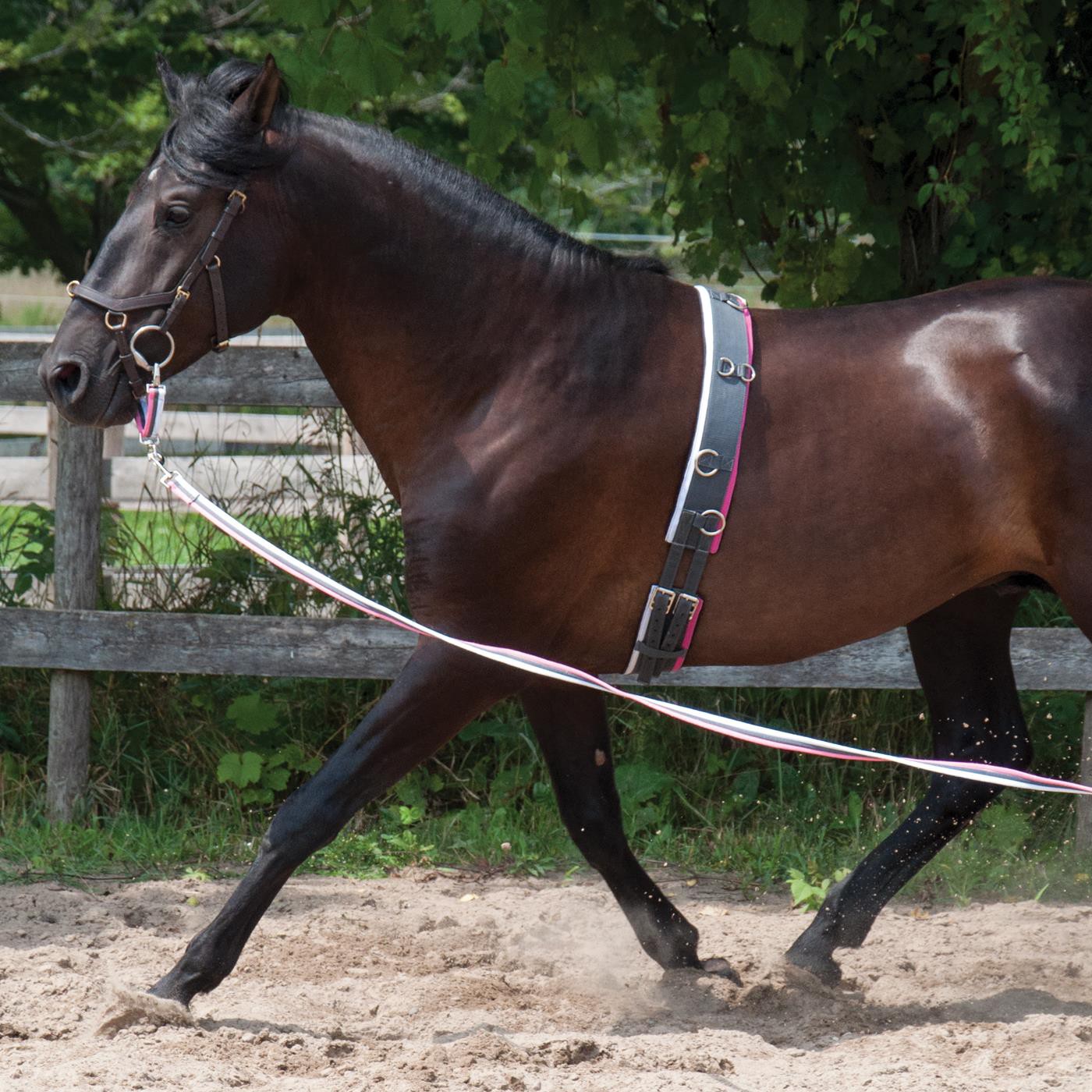 Supra Smart Lunge Set