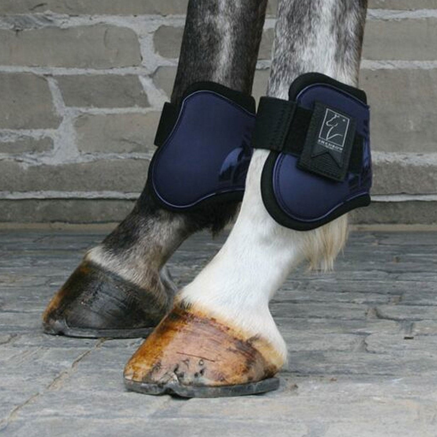 Shedrow Fetlock Boots
