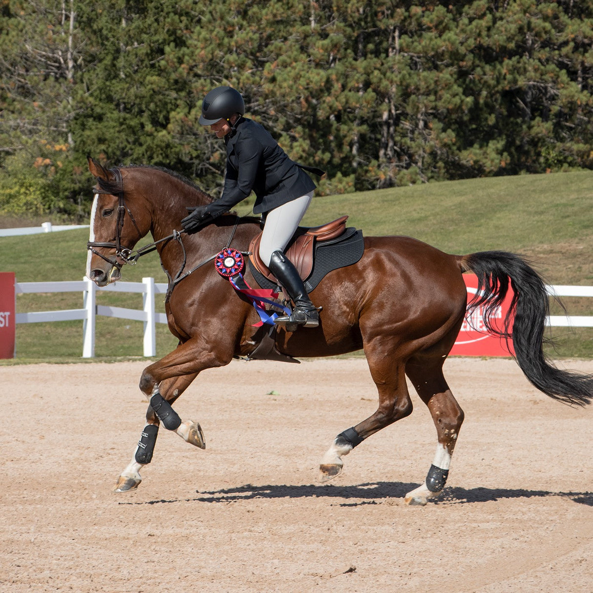 Elation Platinum Terano Half Grip Breech