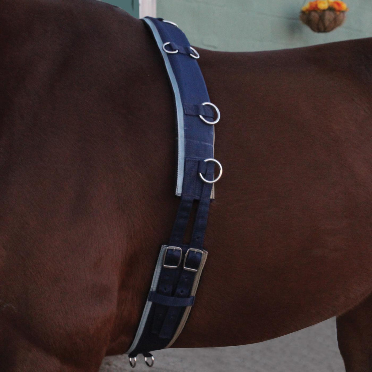 Supra Smart Lunge Set