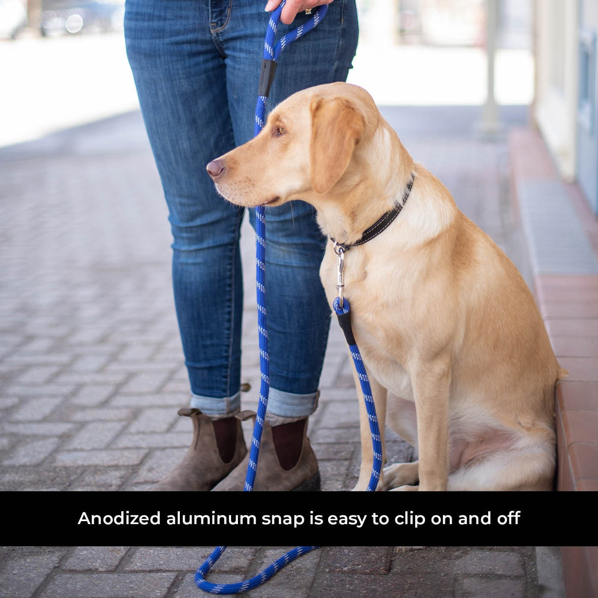 Shedrow K9 Camino Rope Leash