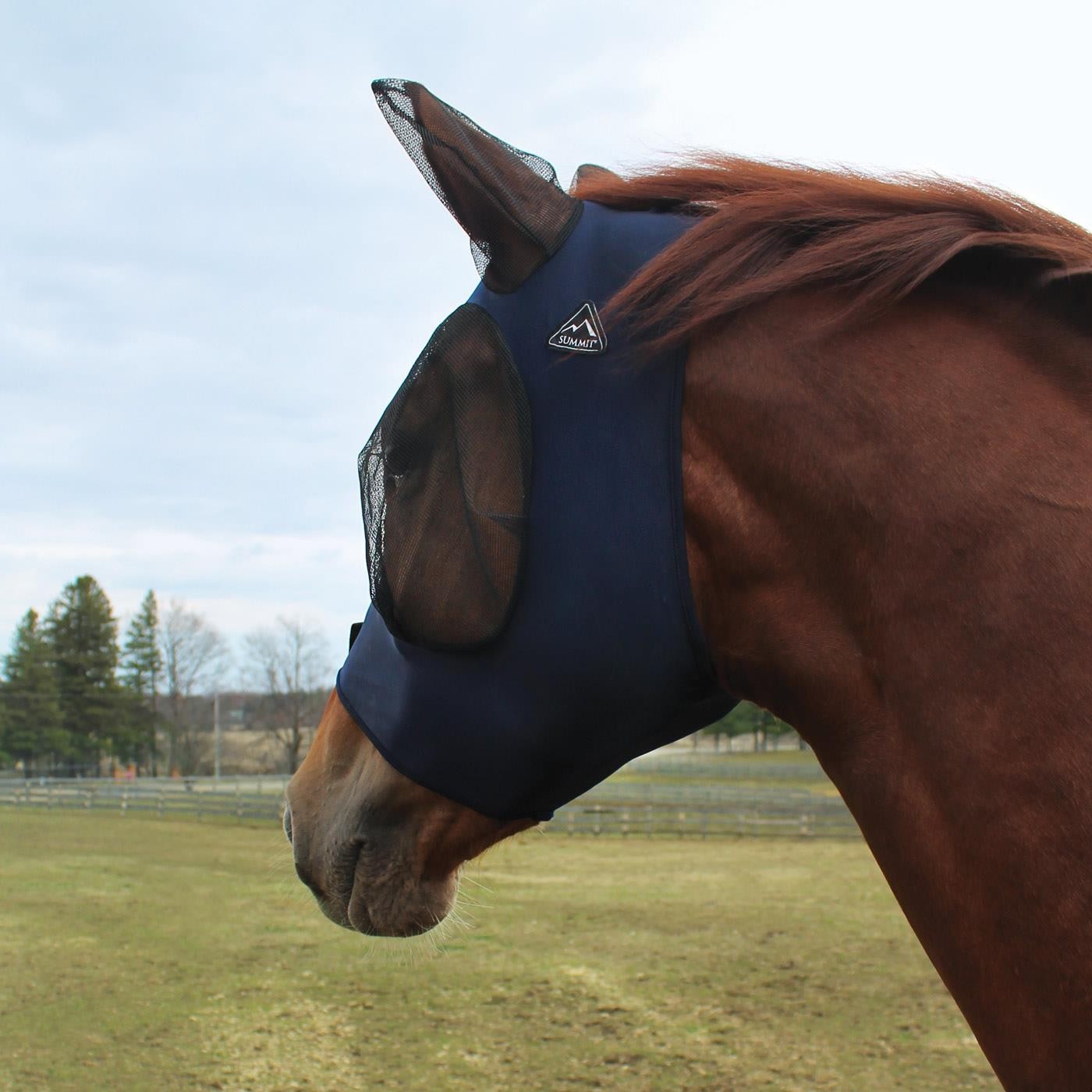 Summit Lycra Fly Mask