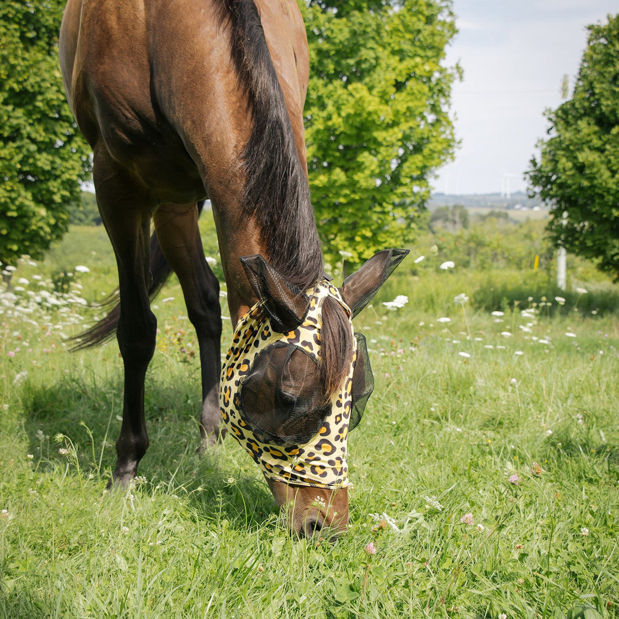 Summit Fly Mask W/ Forelock Hole