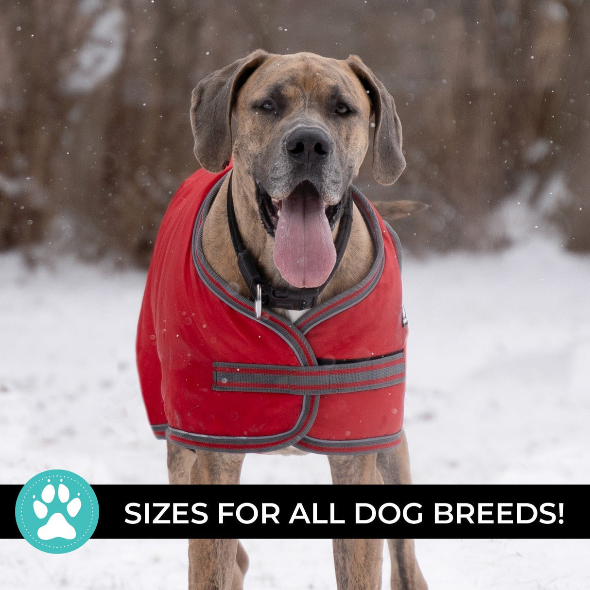 Shedrow K9 Vail Dog Coat