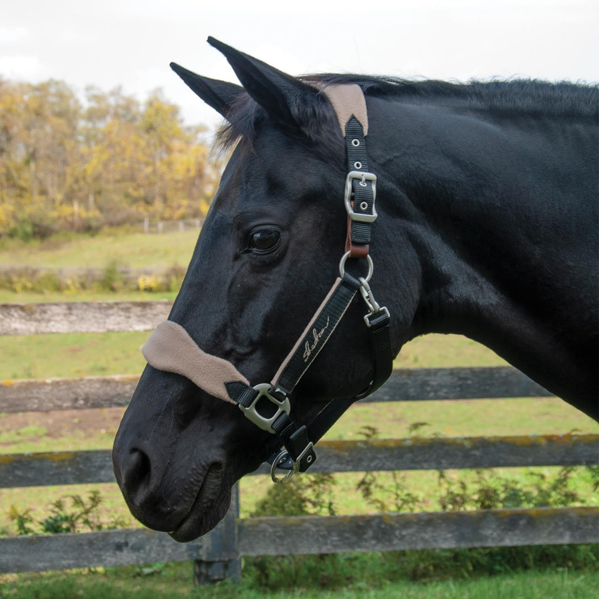 Shedrow Breakaway Halter W/ Fleece