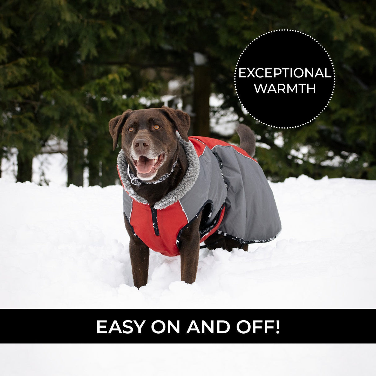 Shedrow K9 Chinook Dog Coat