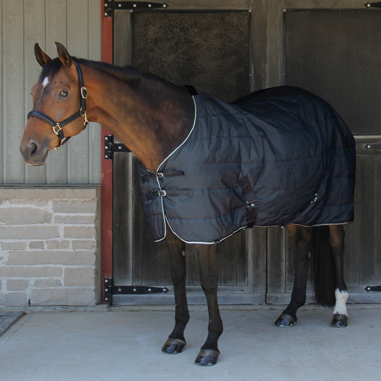 Shedrow Stable Blanket 200 g