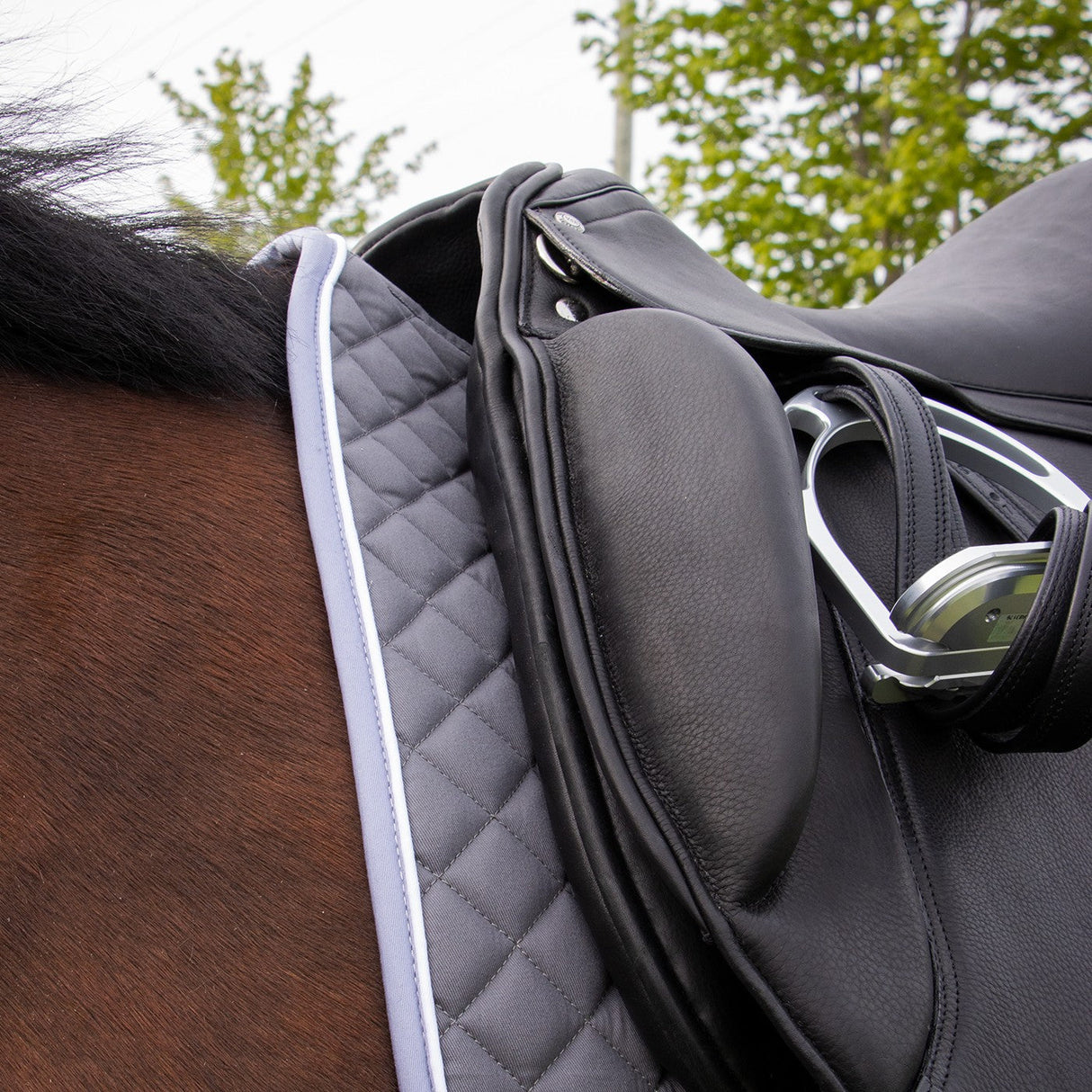 Shedrow Original Dressage Saddle Pad