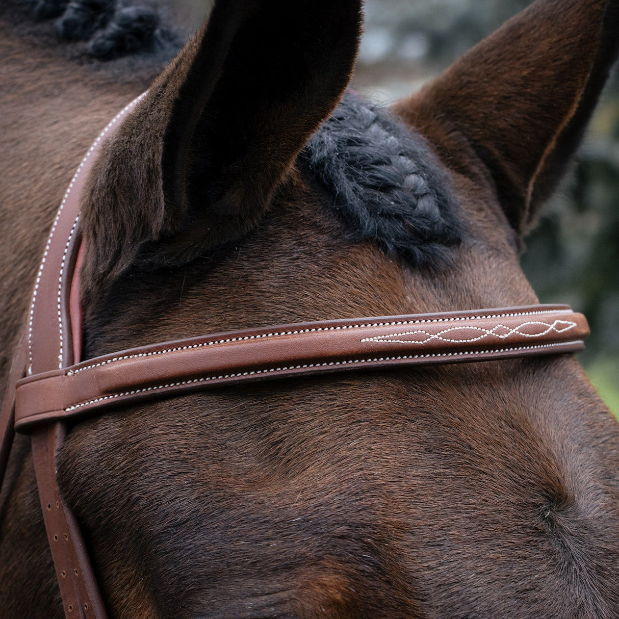 Mondega Gayo Classic Hunter Bridle