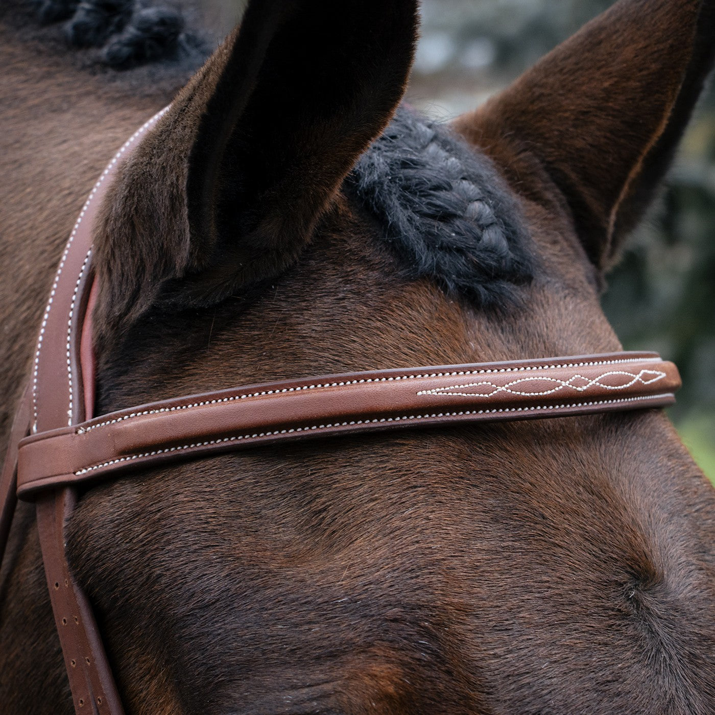 Mondega Gayo Classic Hunter Bridle