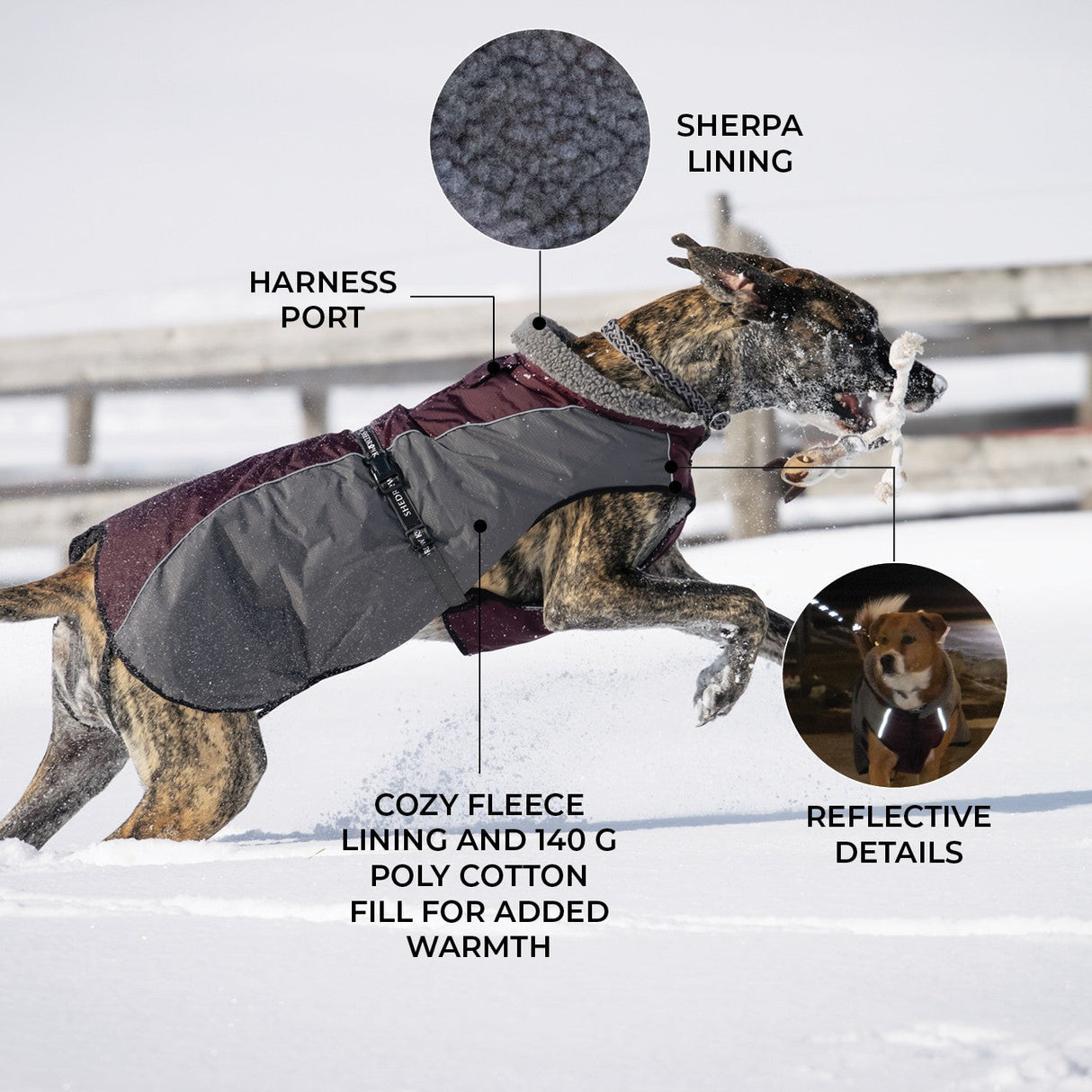Shedrow K9 Chinook Dog Coat