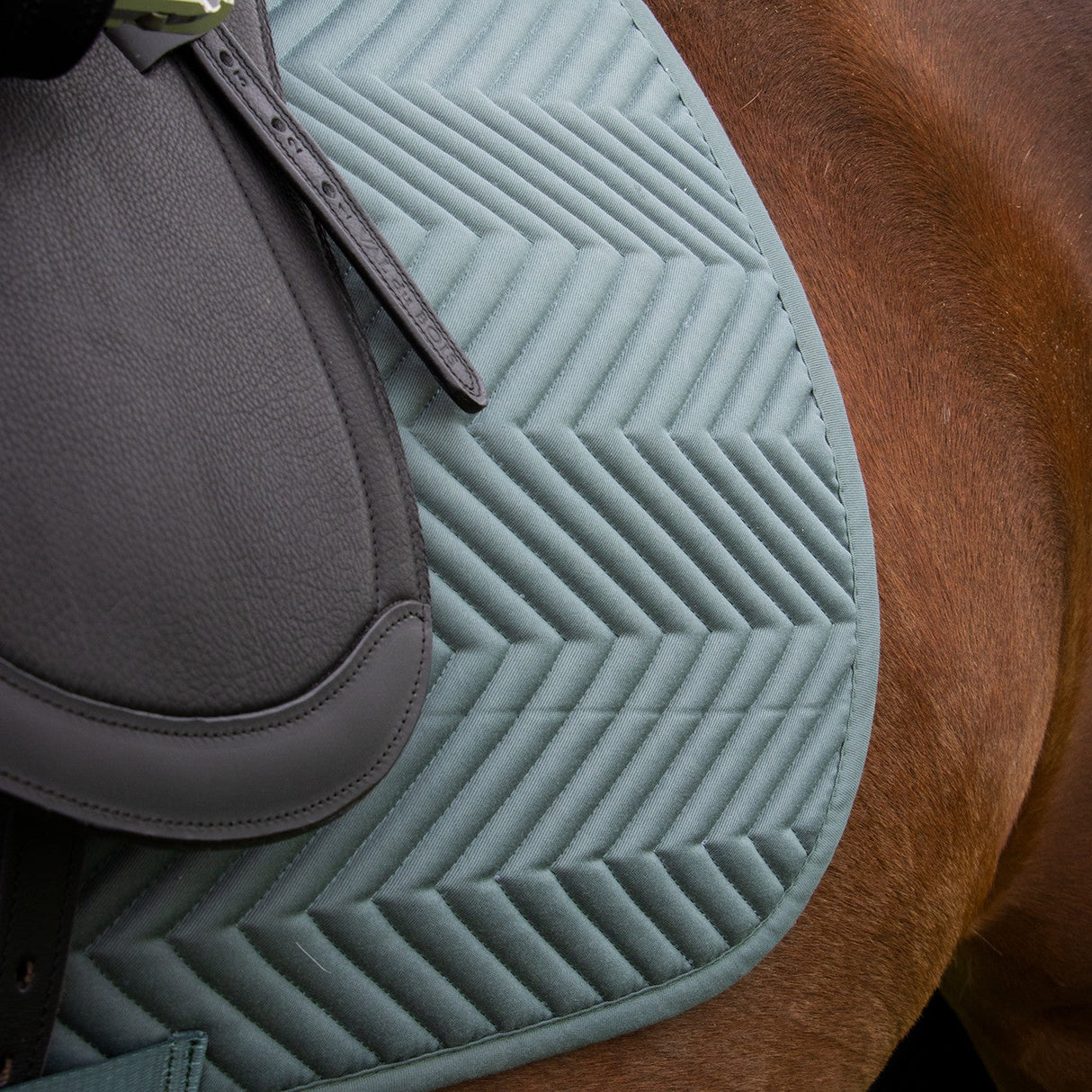 Supra Every Day Essential Dressage Saddle Pad