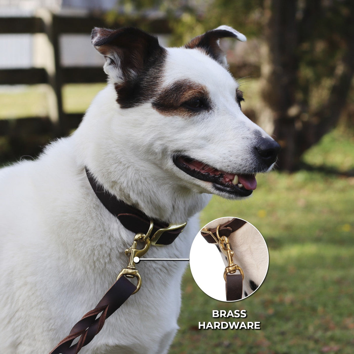 Shedrow K9 Bristol Twisted Leather Leash 5 ft.