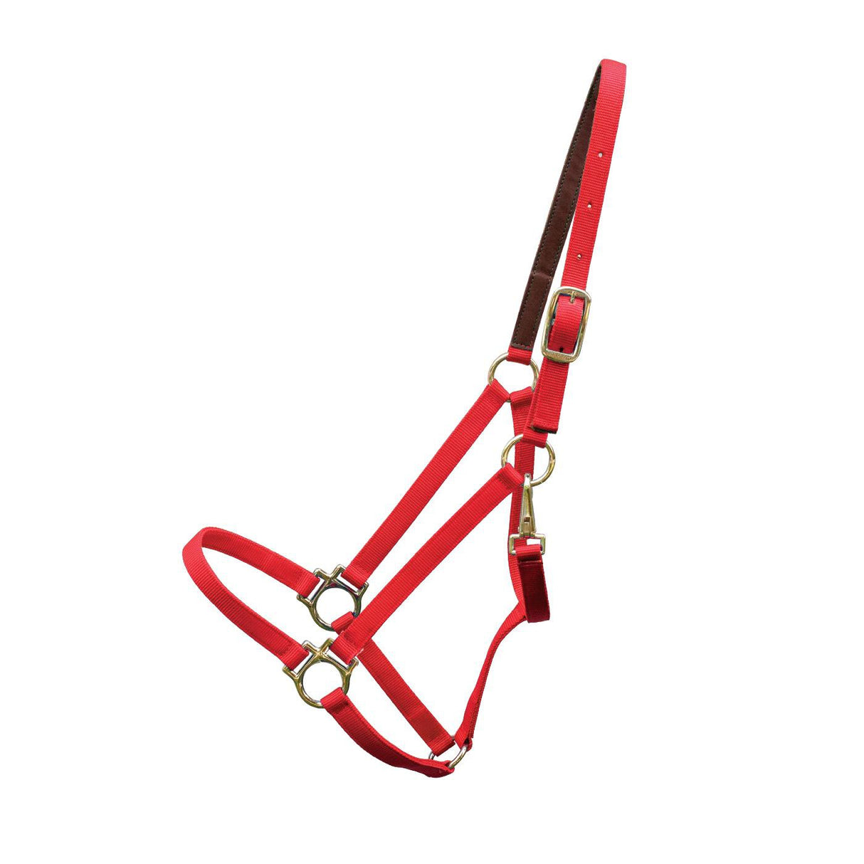 Shedrow Deluxe 3/4 in. Halter