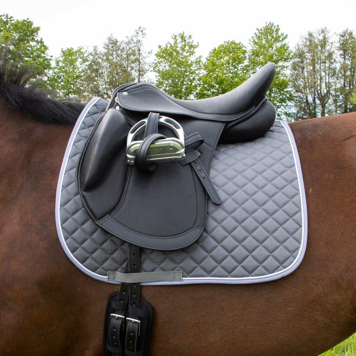Shedrow Original Dressage Saddle Pad