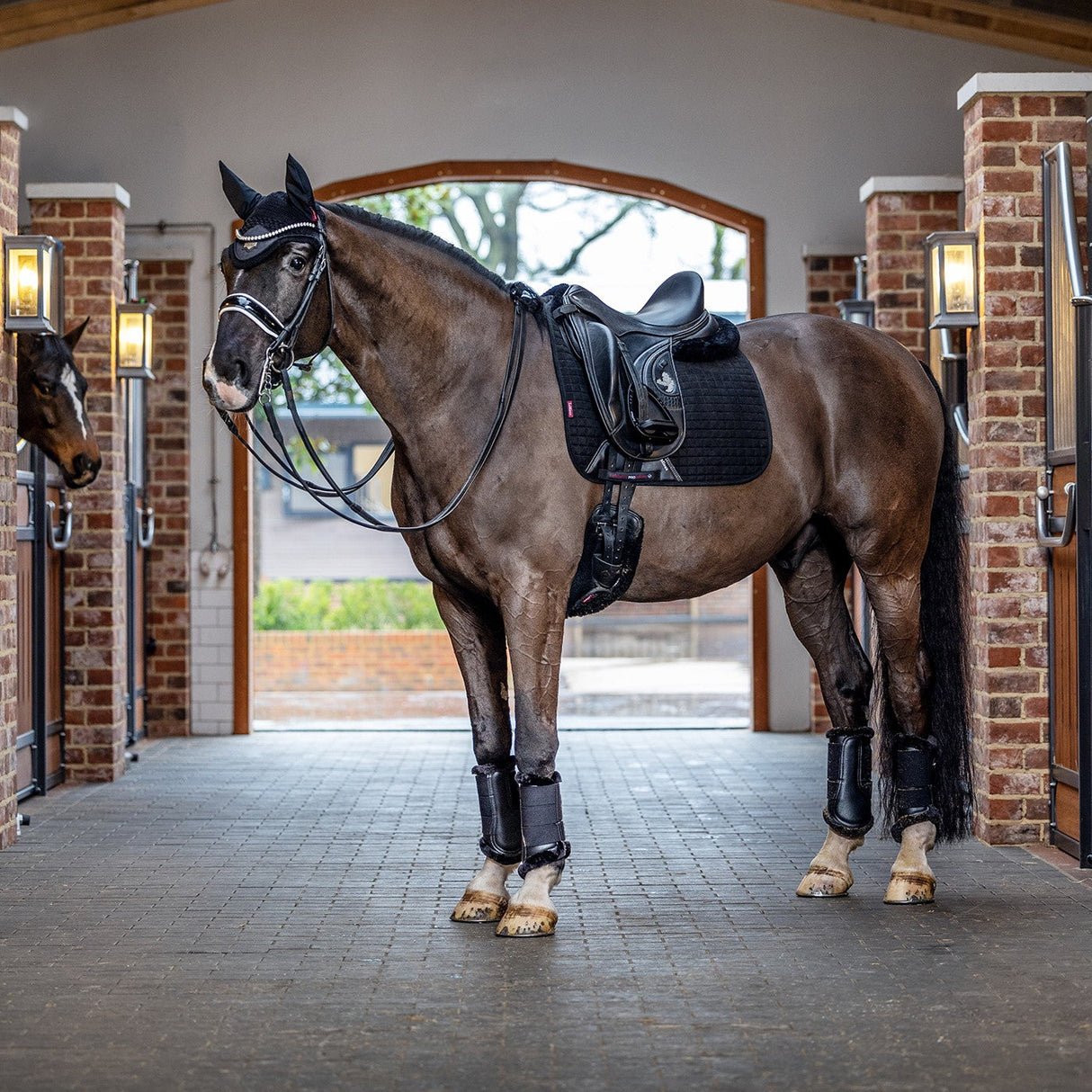 LeMieux Suede Dressage Square Saddle Pad