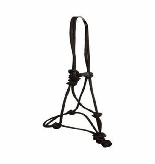 Copper Canyon Rope Halter W/ Lead