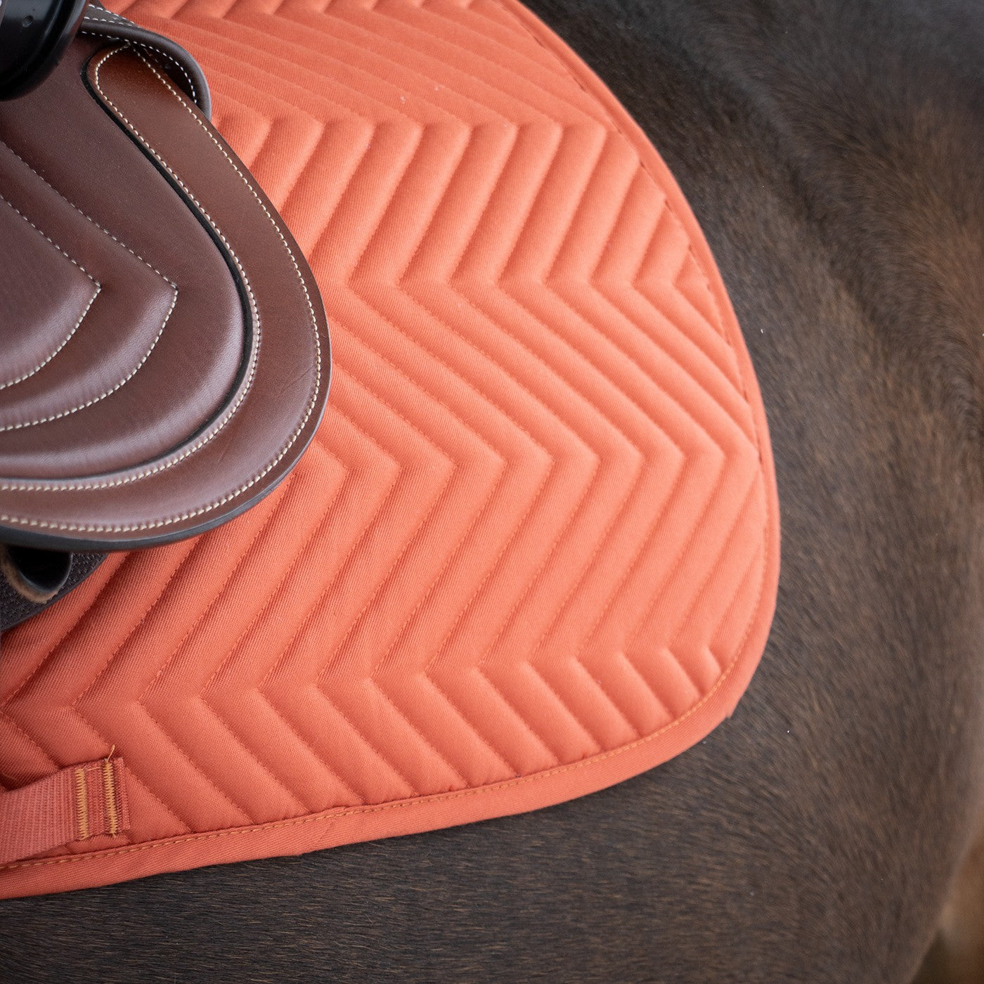 Supra Every Day Essential Saddle Pad