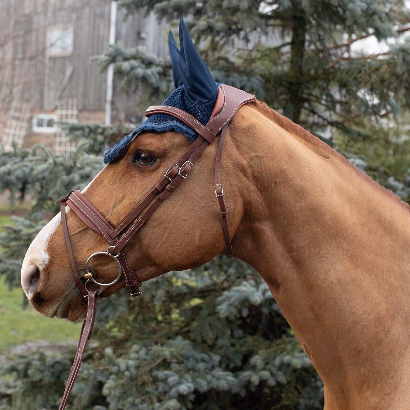 Shedrow Scalloped Fly Veil