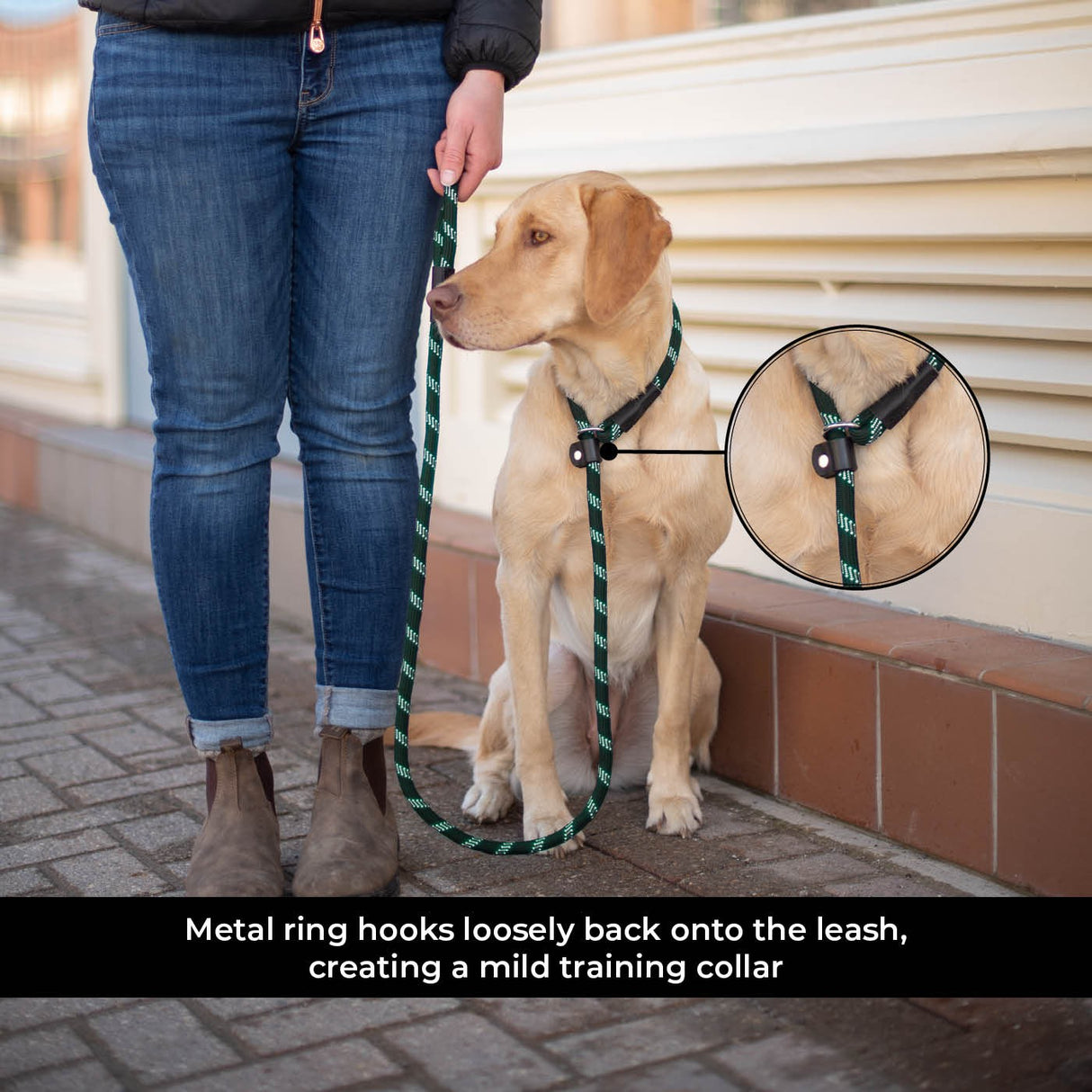 Shedrow K9 Camino Rope Slip Leash