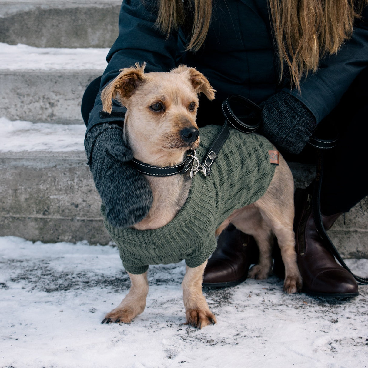 Shedrow K9 Brentwood Cable Knit Dog Sweater