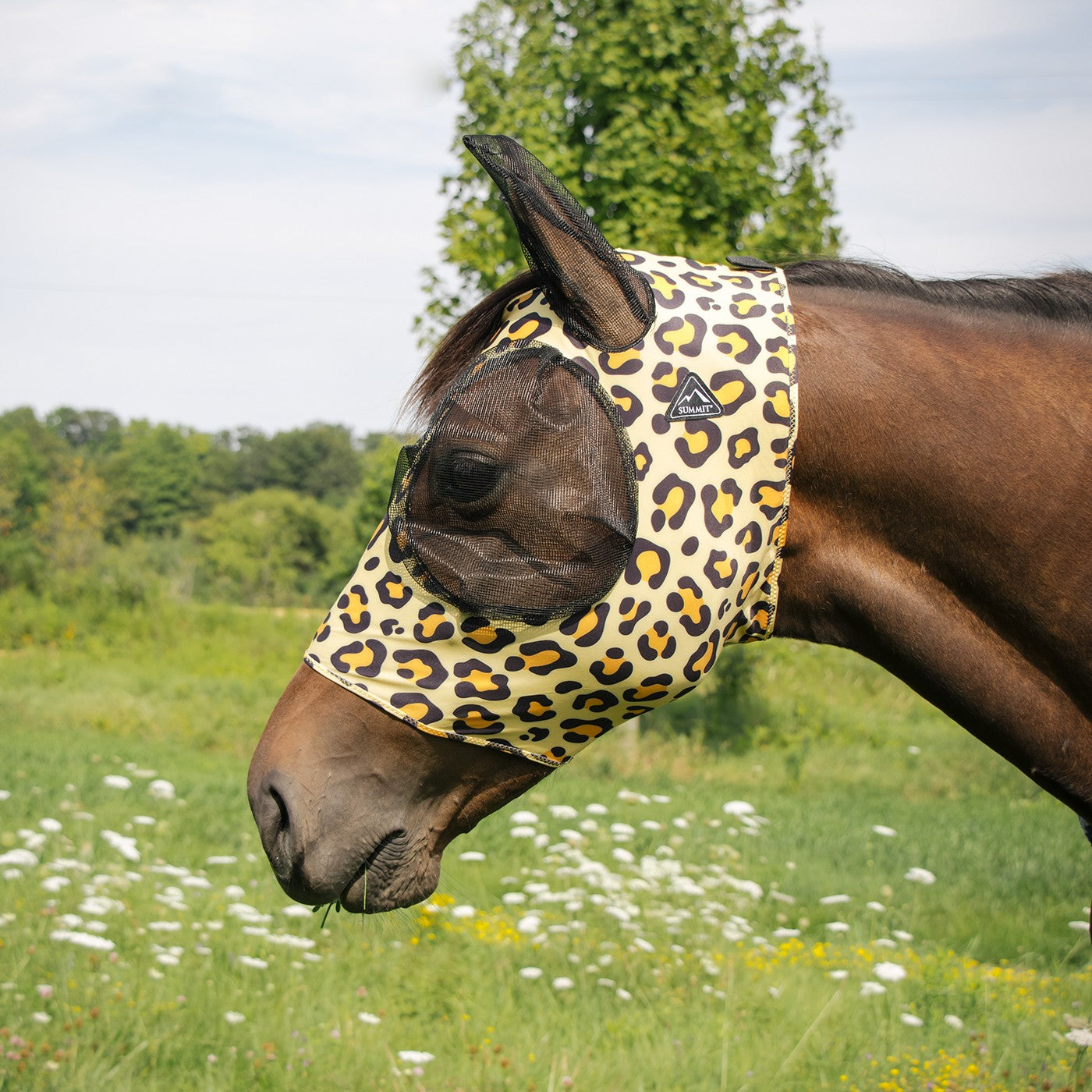 Summit Fly Mask W/ Forelock Hole
