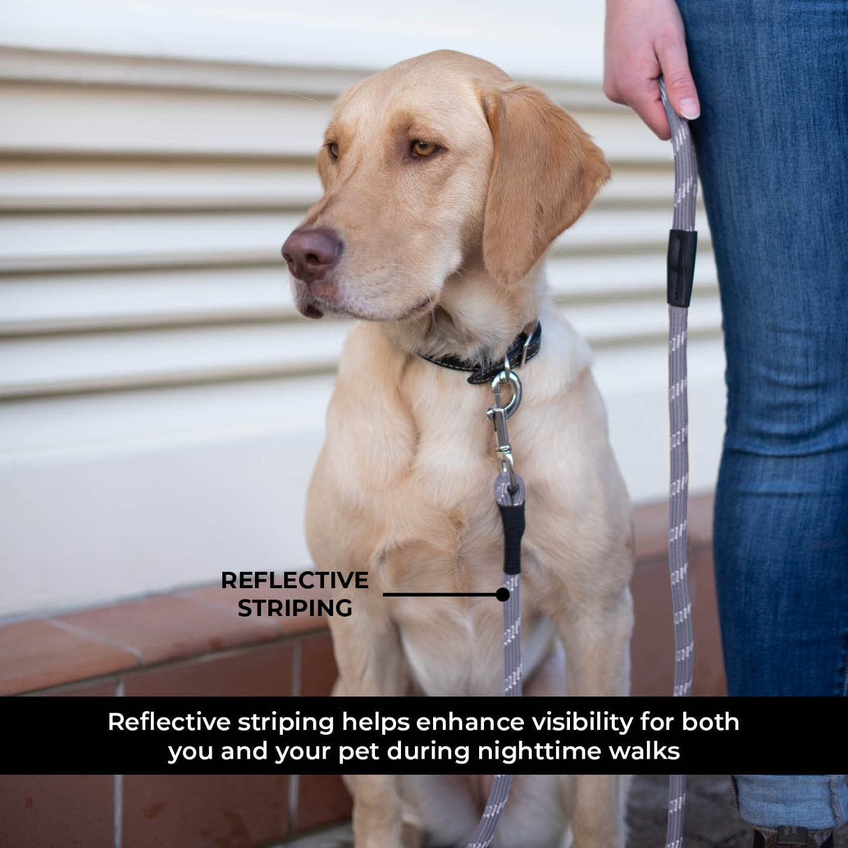 Shedrow K9 Camino Rope Leash