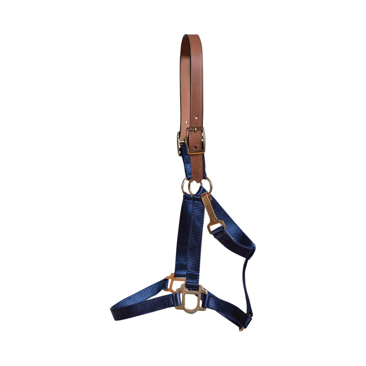 Supra Nylon Halter W/ Leather Crown