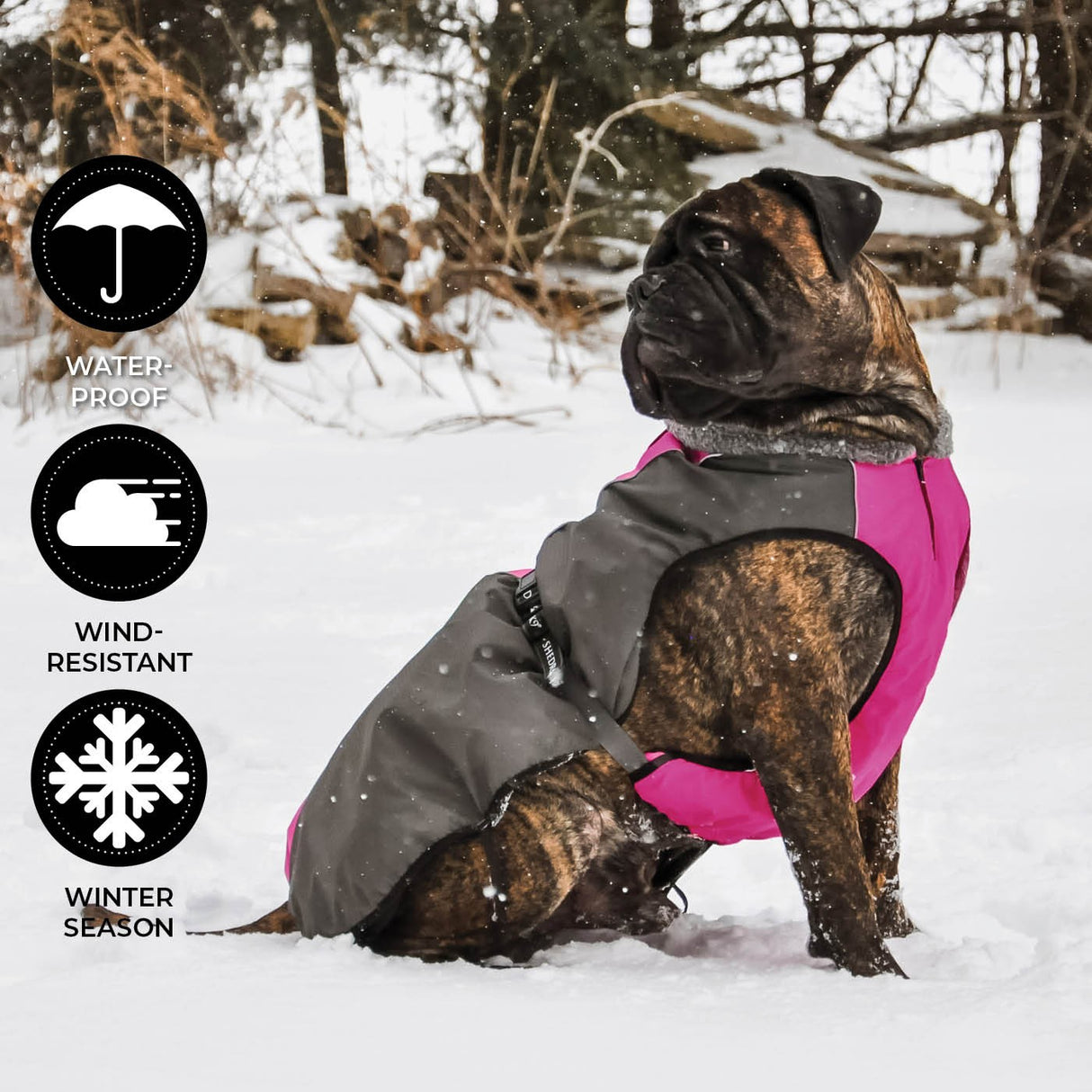 Shedrow K9 Chinook Dog Coat