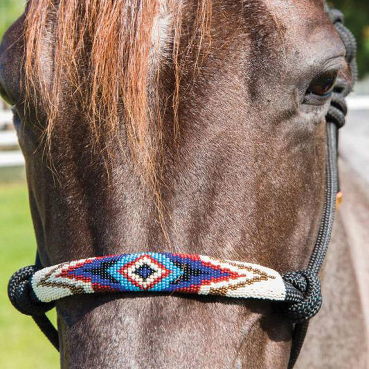 Professional's Choice Beaded Rope Halter