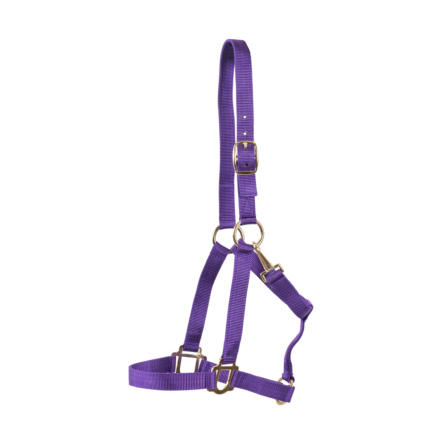 Supra Stable Halter