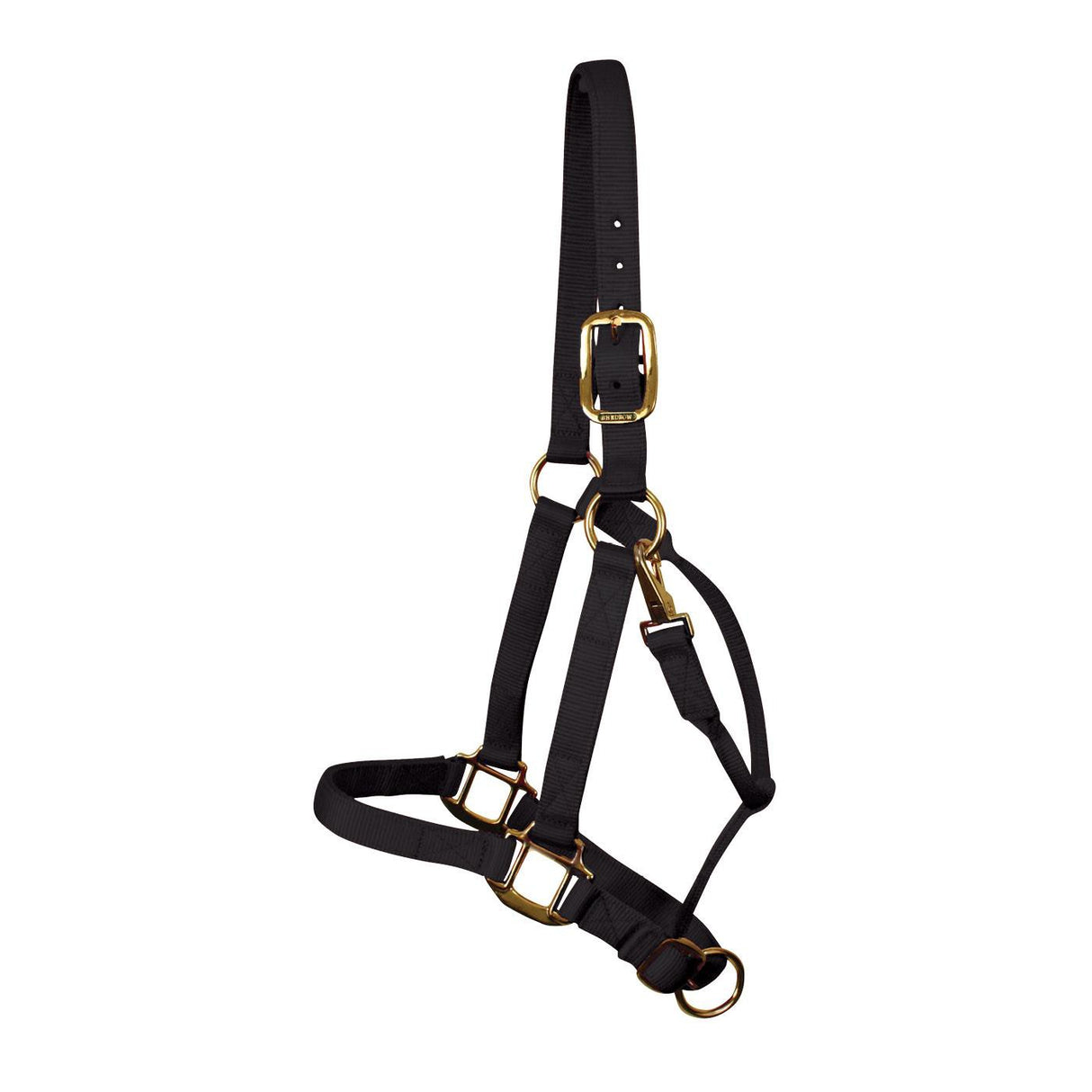 Shedrow Deluxe Halter