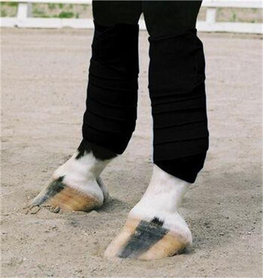 Vac's Pony Polo Wraps