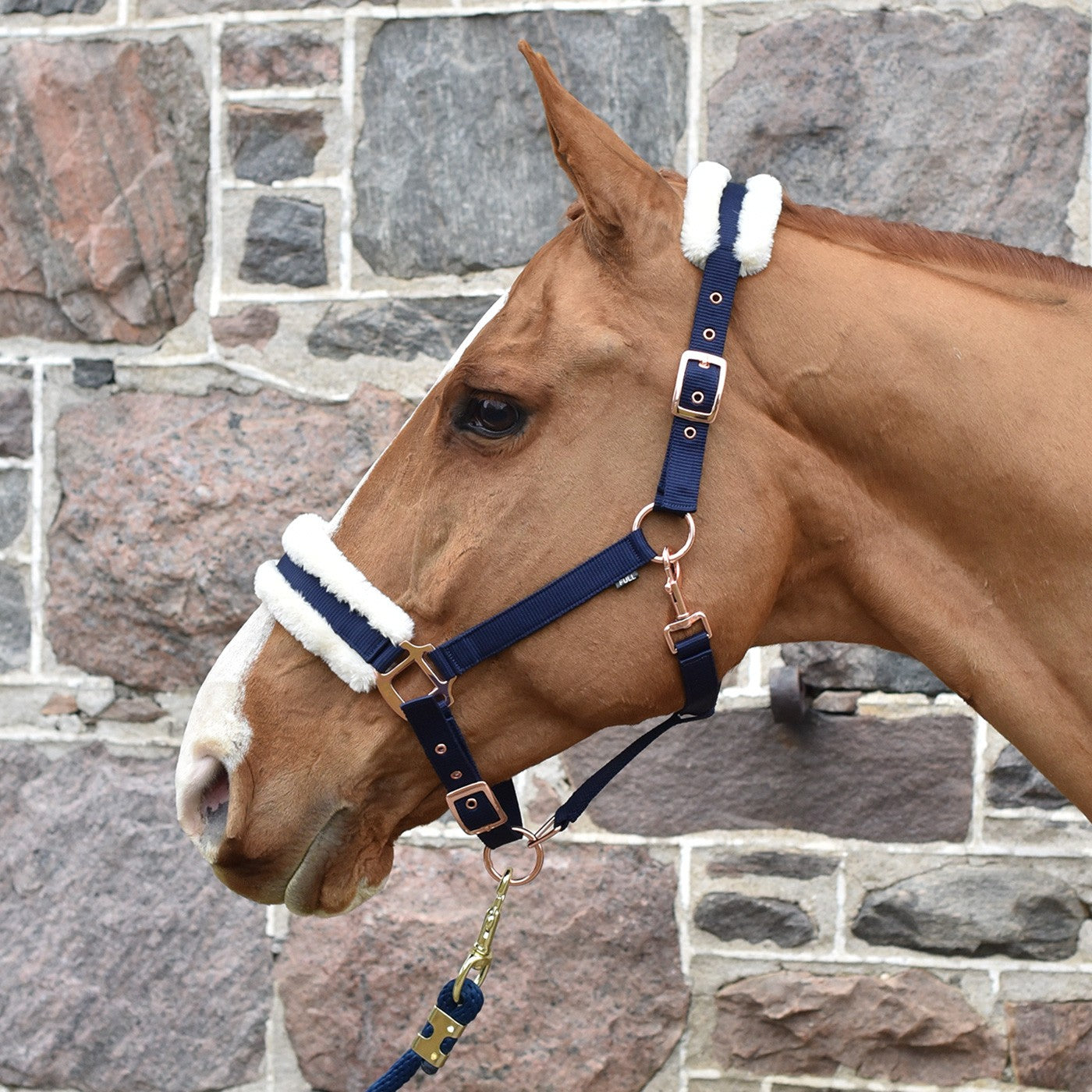 Shedrow Rose Gold Sheepskin Lined Halter