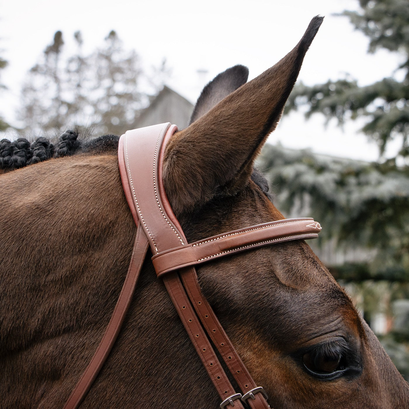Mondega Gayo Classic Hunter Bridle