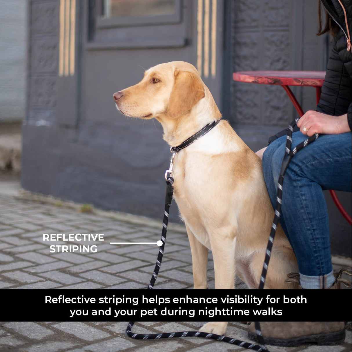 Shedrow K9 Camino Rope Leash