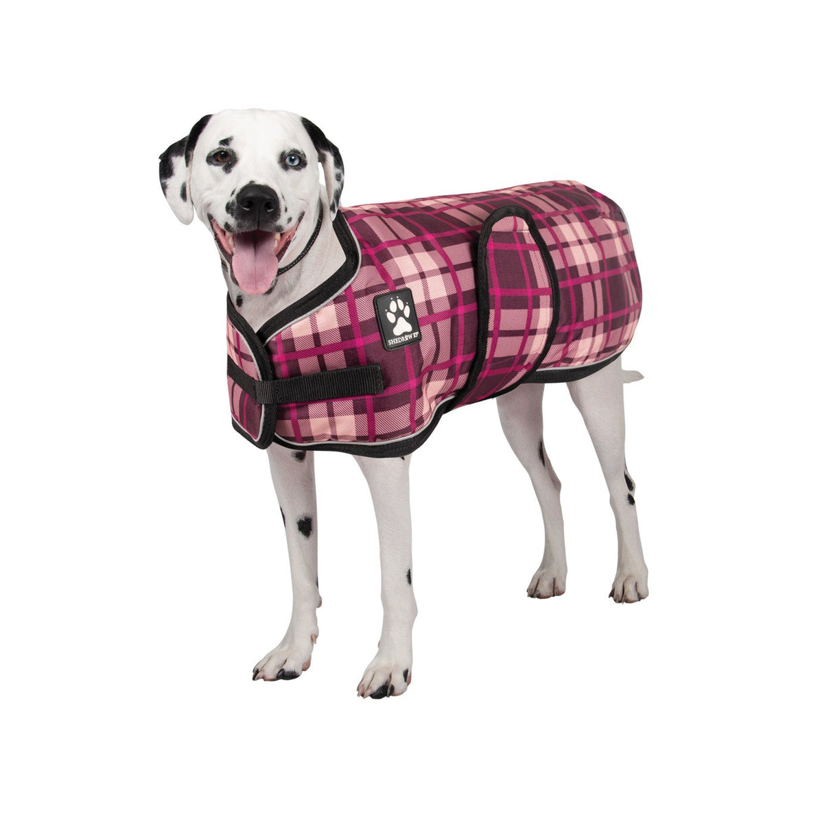 Shedrow K9 Glacier Dog Coat