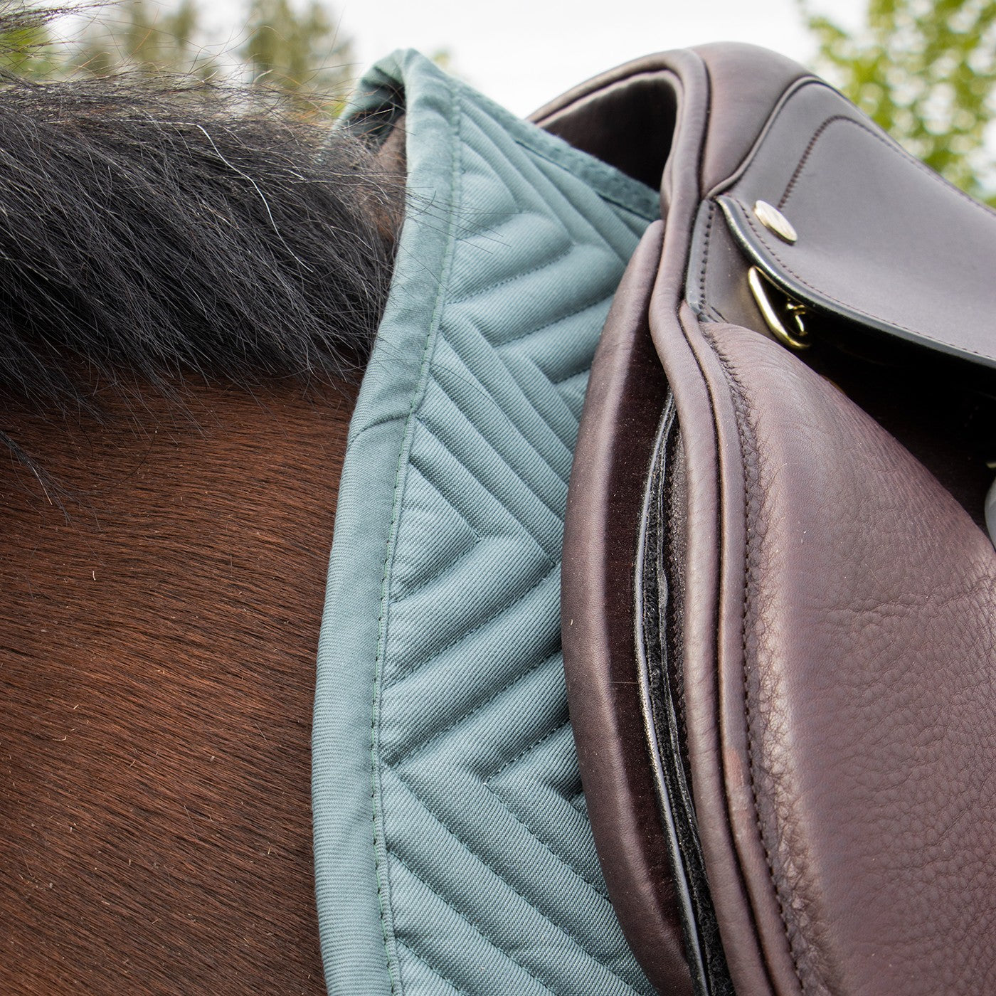 Supra Every Day Essential Saddle Pad