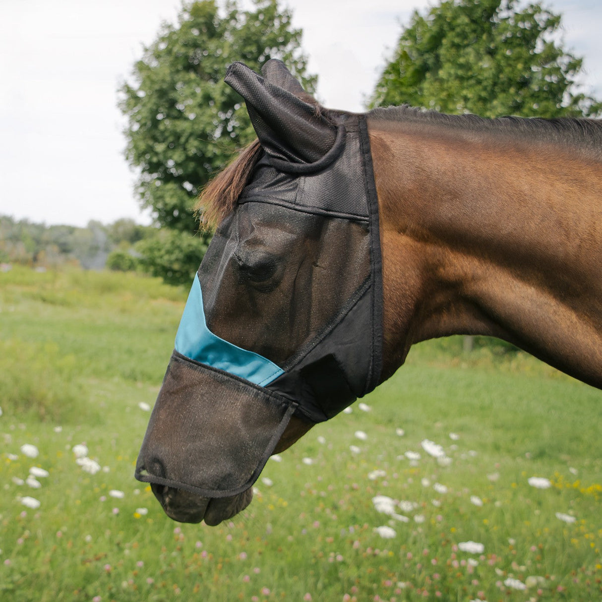 Shedrow Fly Mask W/ Ears & Nose Cover