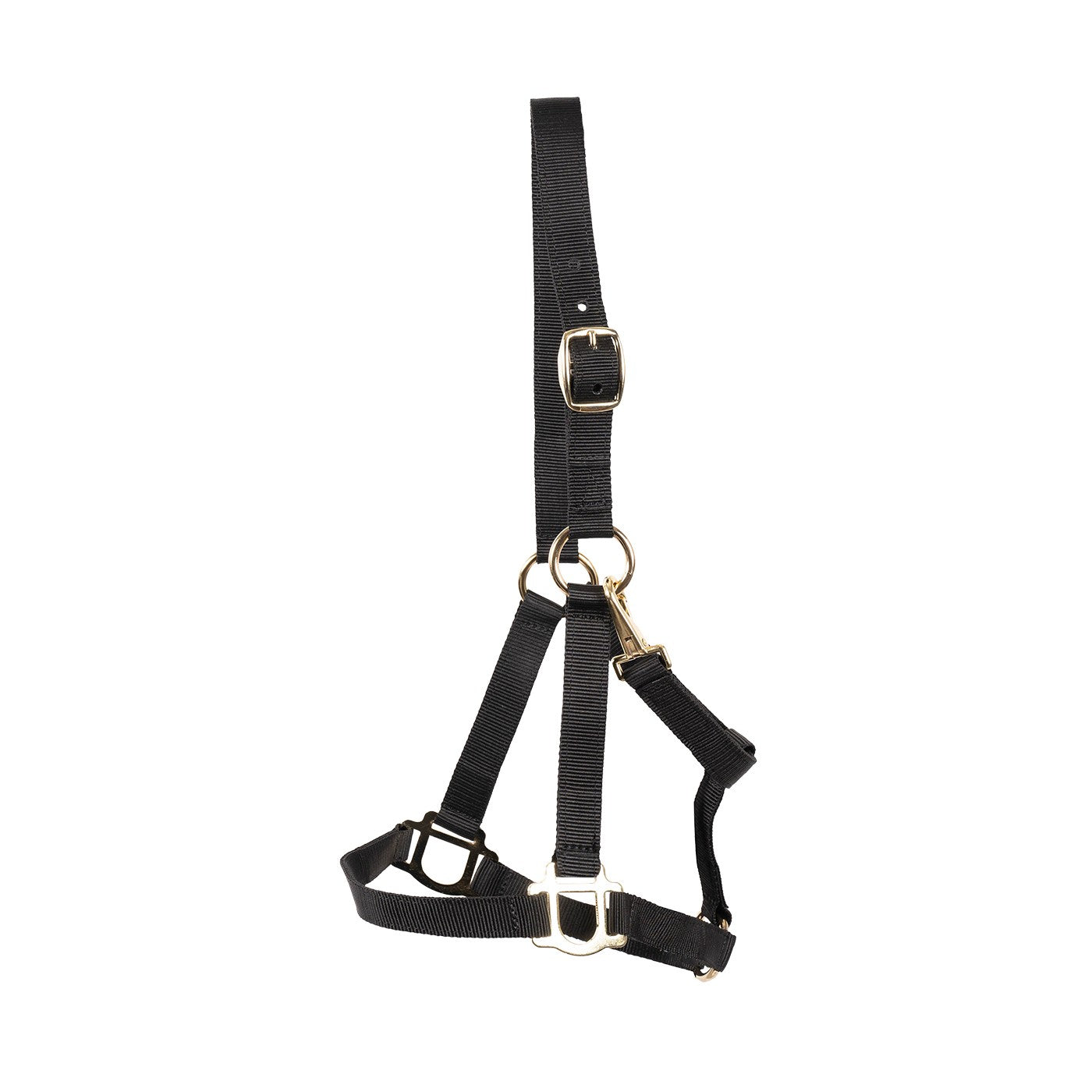 Supra Stable Halter