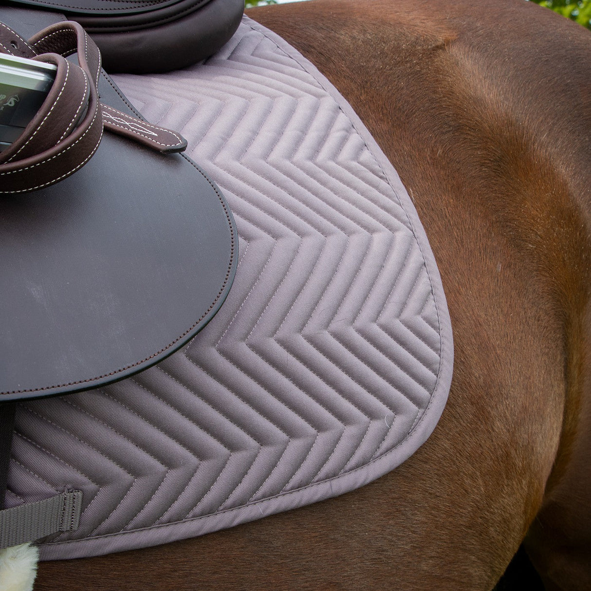 Supra Every Day Essential Saddle Pad