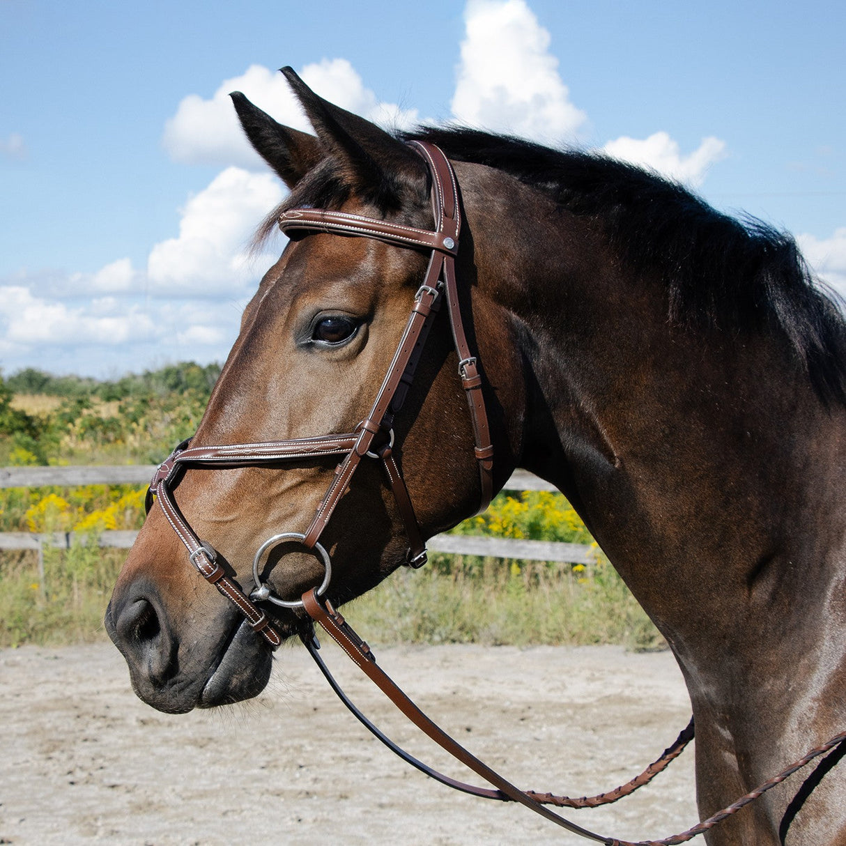 Val du Bois Padded Fancy Stitched Figure-8 Bridle