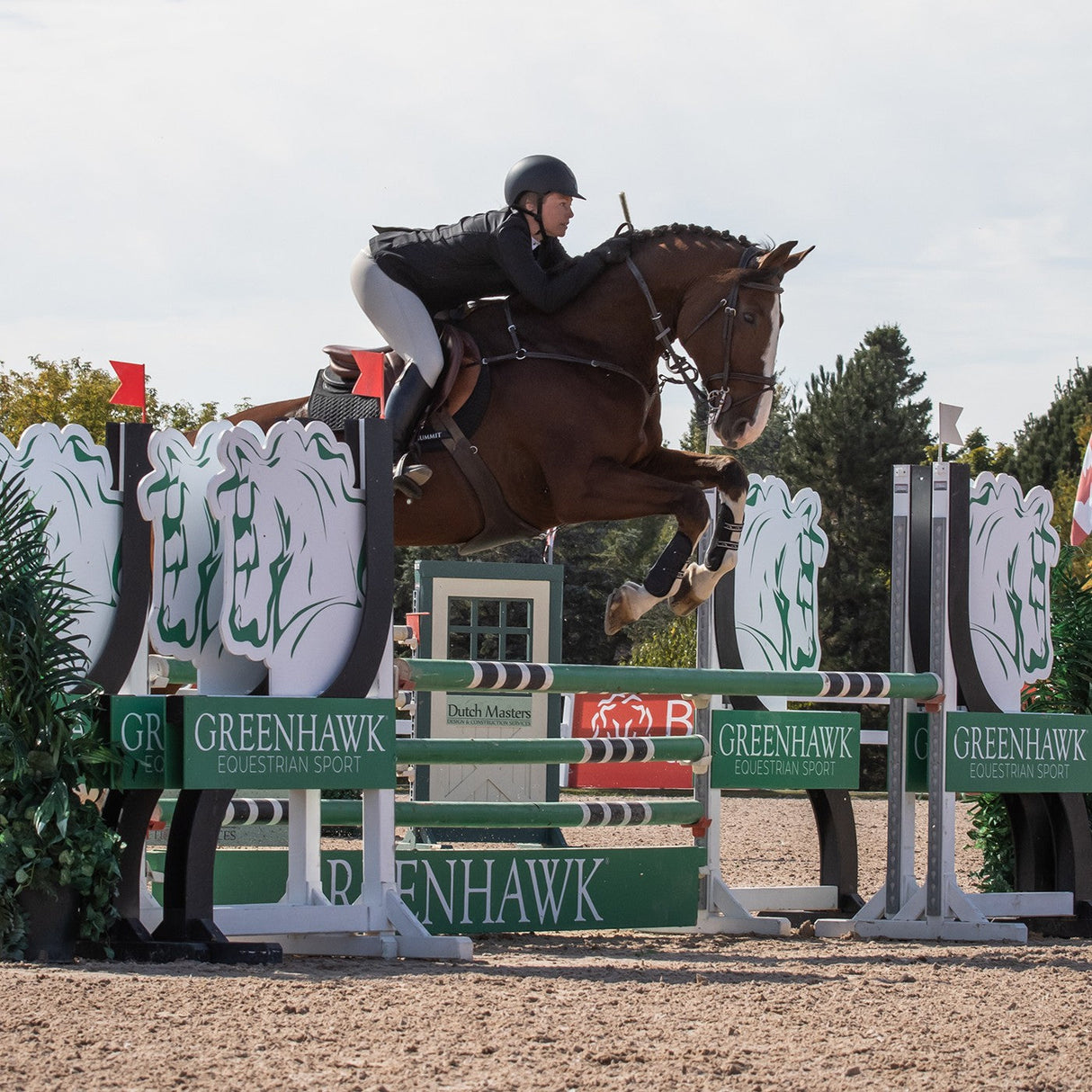 Elation Platinum Terano Half Grip Breech